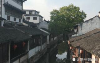 春雨直播app