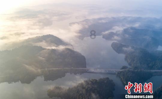 水槽洗碗机是不是不适合清洗木质餐具?知识星球平台-快速获取优质知识的首选